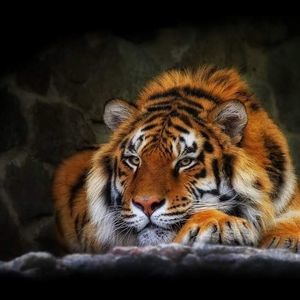 Meet your Posher, Valentina